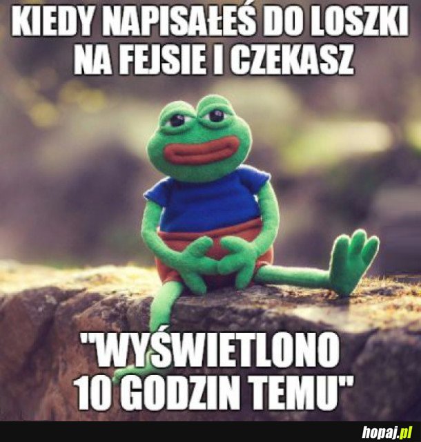 ZNACIE TO UCZUCIE