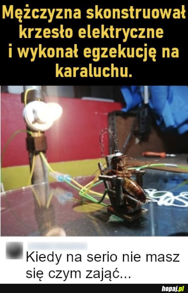 Egzekucja