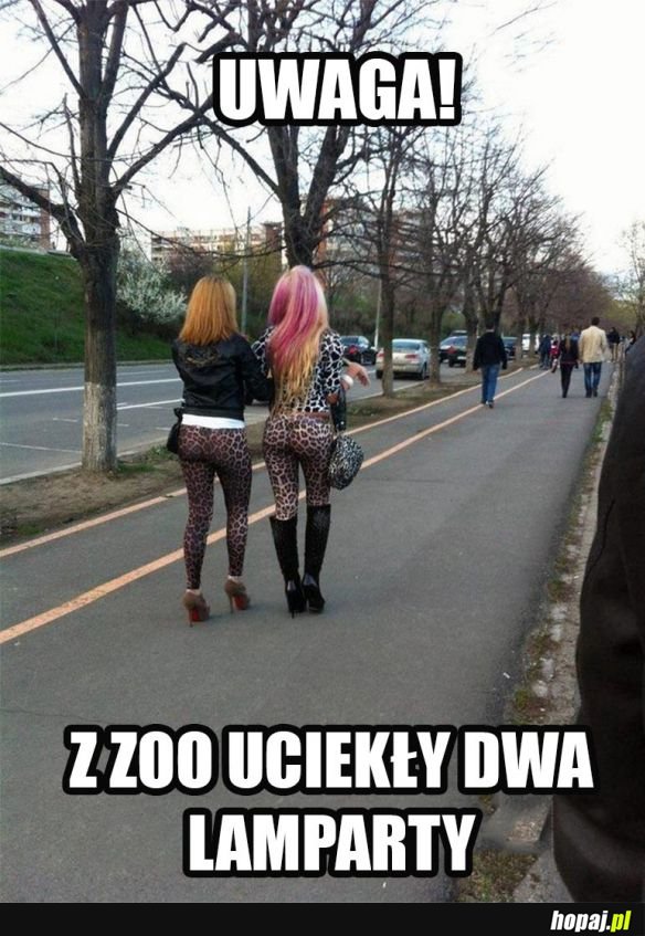 Uwaga!