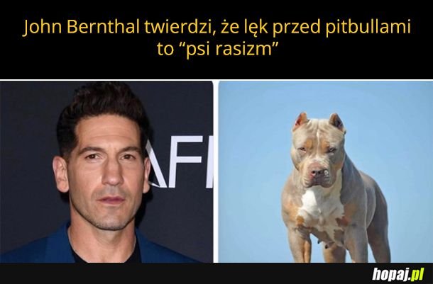 Wszyscy jesteśmy pitbulofobami