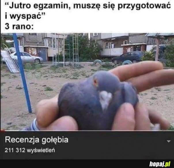 Moja codzienność