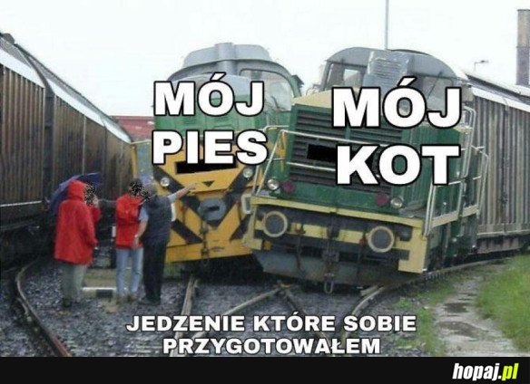 WŁOCHATE SĘPY