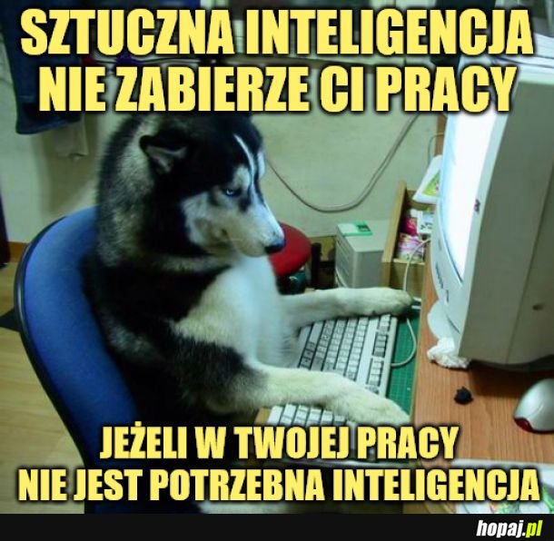 Inteligencja.