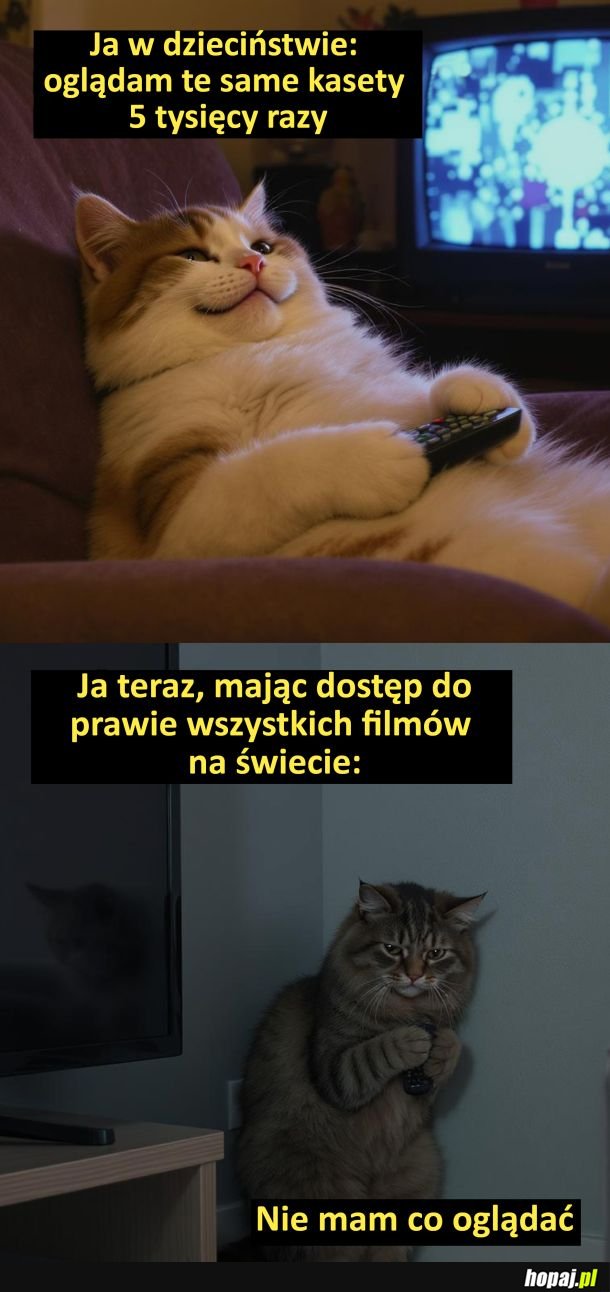 Nie ma co oglądać