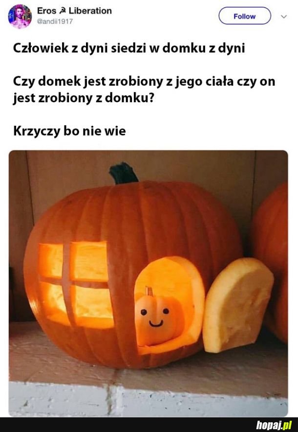 Koszmar dyni