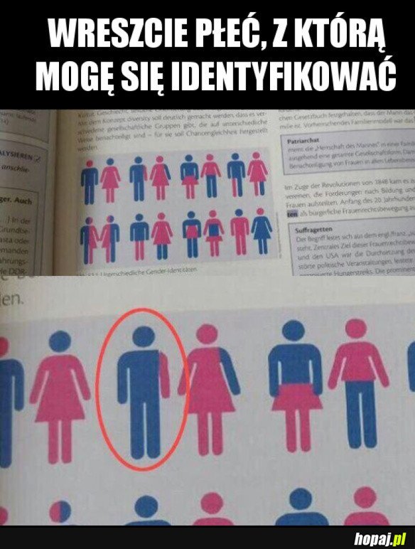 PŁEĆ