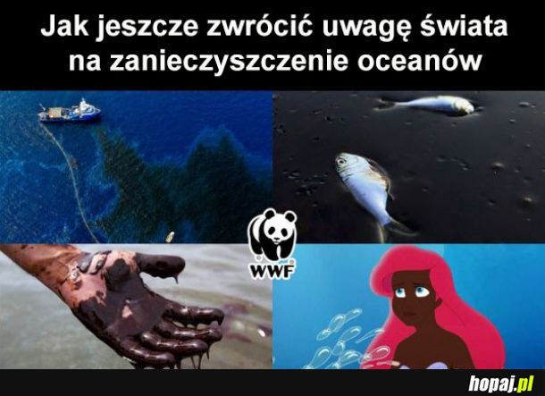  Zanieczyszczenie 