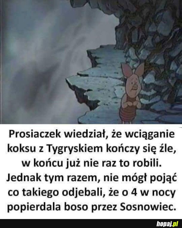 PRZEGIĘLI Z TOWAREM