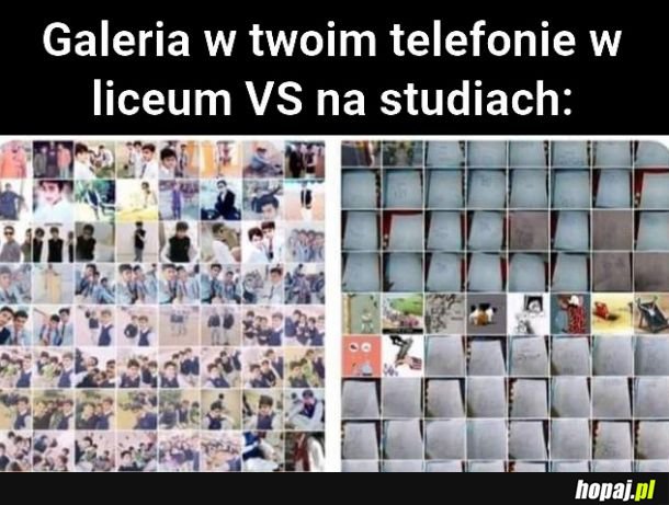 Zdjęcia na studiach