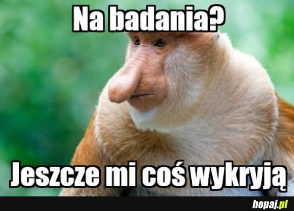 Nie ma co psuć sobie humoru