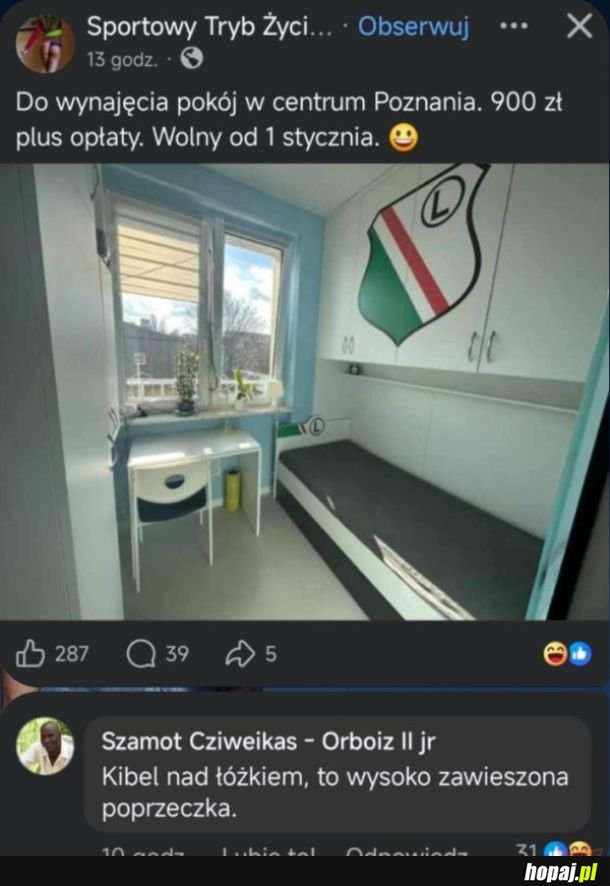 Pokój do wynajęcia w Poznaniu