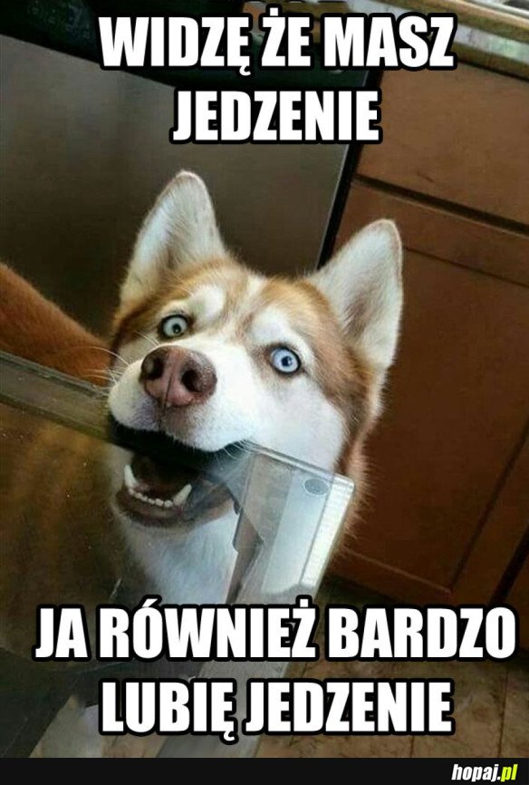 Masz jedzenie