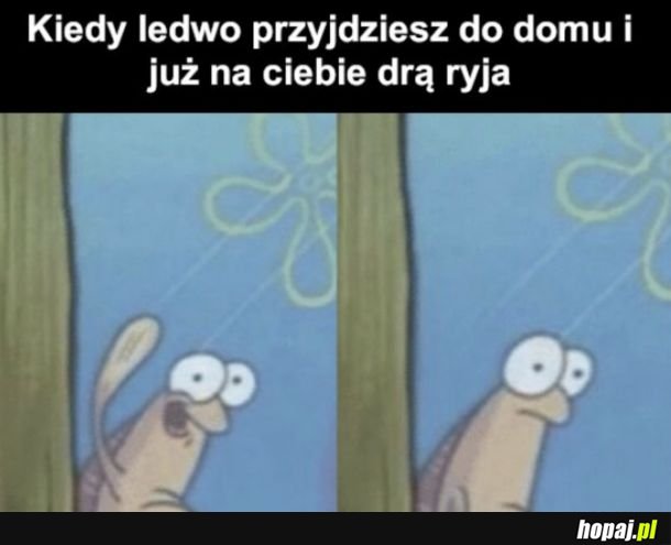 I to by było na tyle dobrego humoru