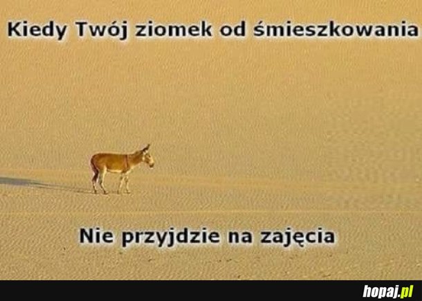 NAJSMUTNIEJ