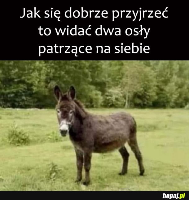 Cóż za spotkanie