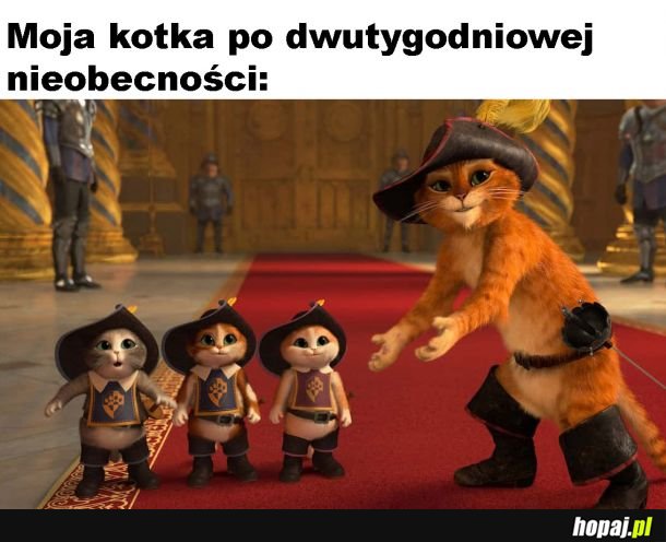 Normalka
