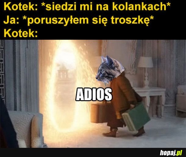 Kitku wróć