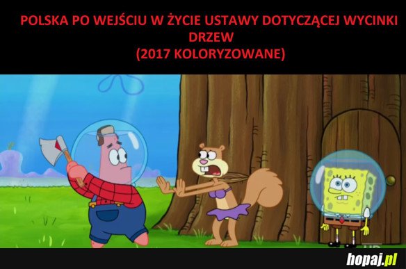 POLSKA W TROCINACH