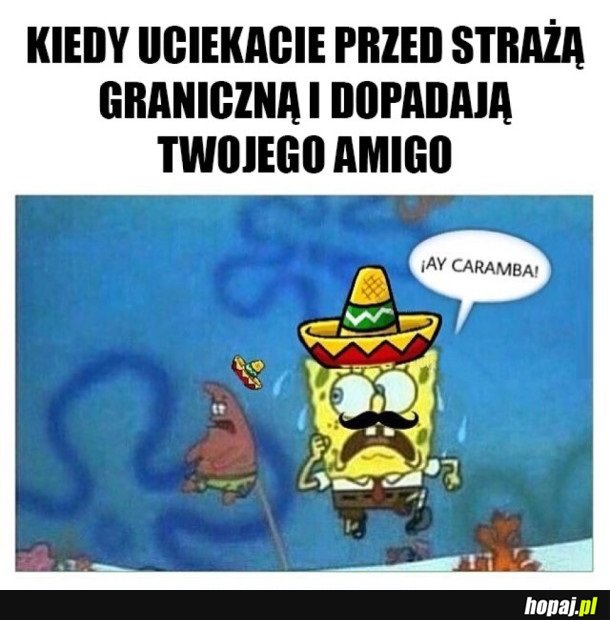 JUŻ NIEDŁUGO TAK BĘDZIE