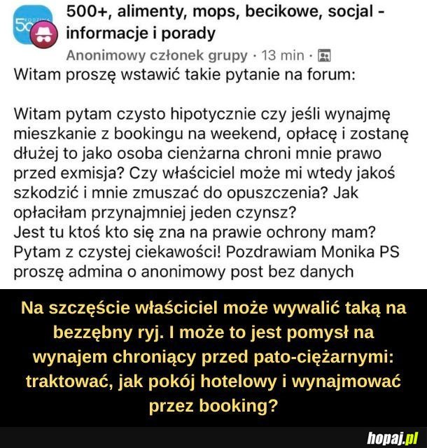 Robią się coraz bardziej bezczelne.