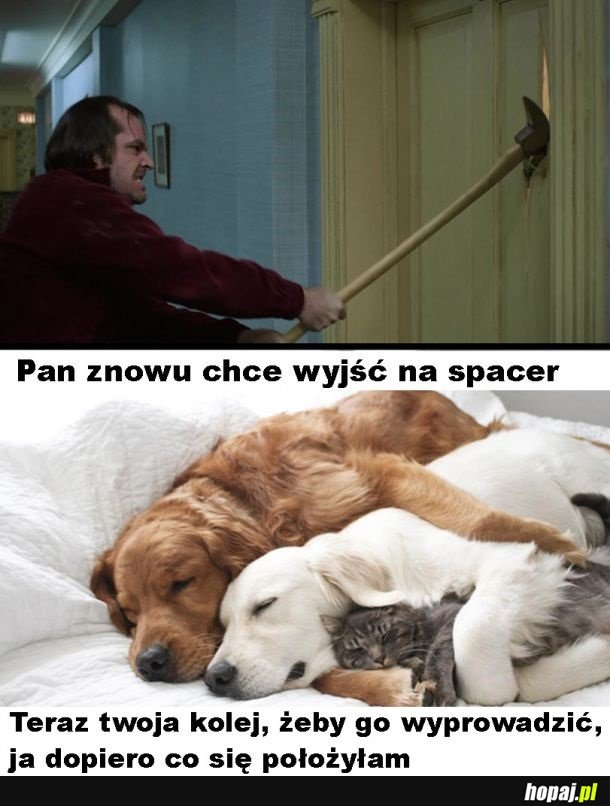 Pan chce na spacer