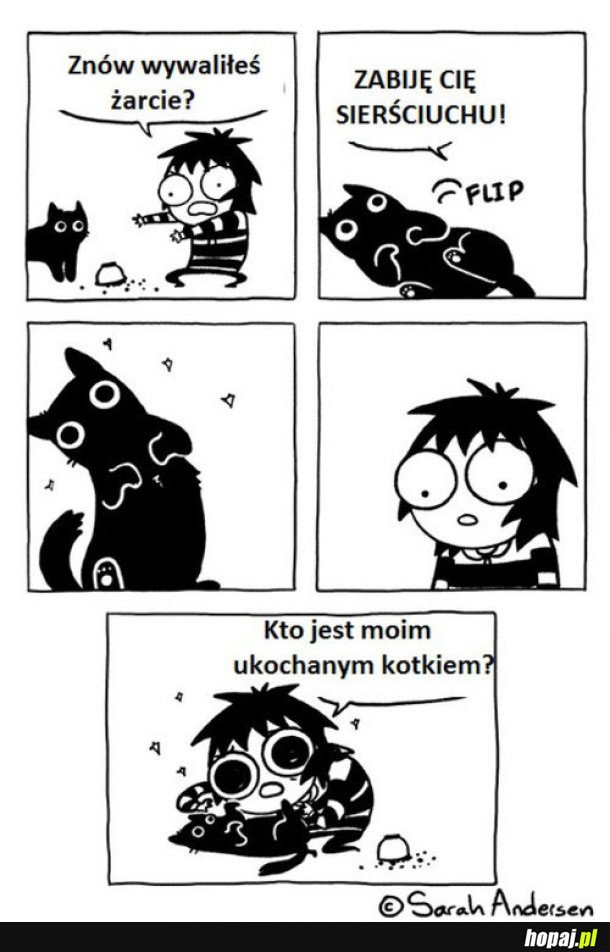 KOT