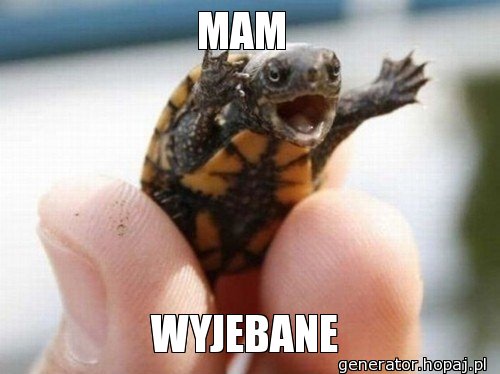 MAM 