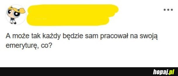 Szokujący program wyborczy!