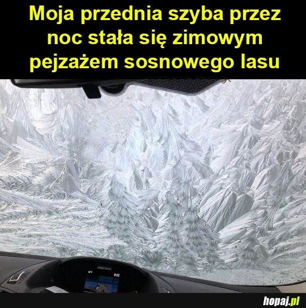 Zimowy pejzaż