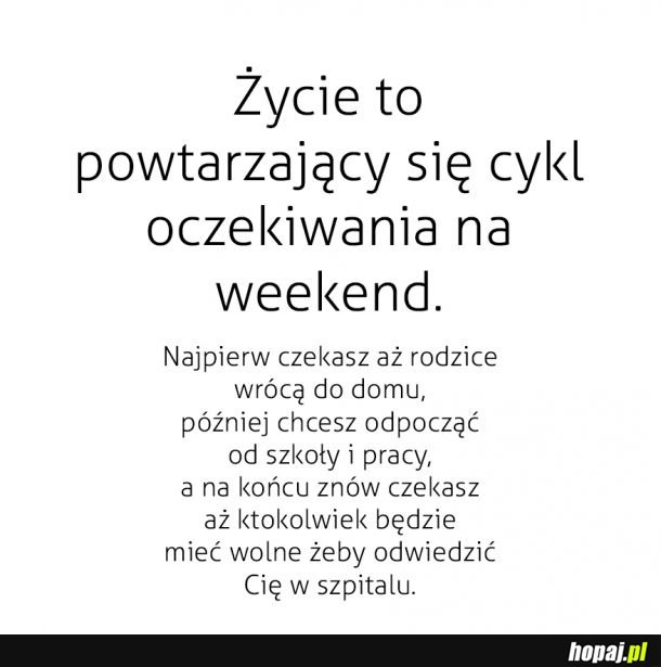 Taka pseudo mądrość 