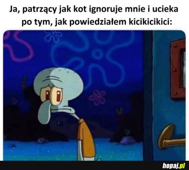 Kotku nie rób mi tego