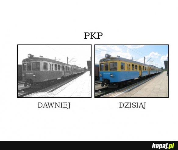 PKP