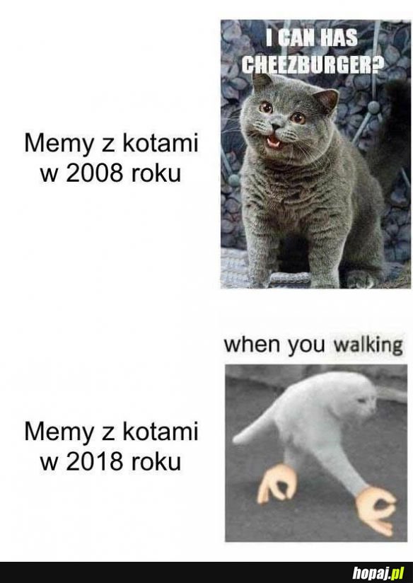 Ale ten czas leci...