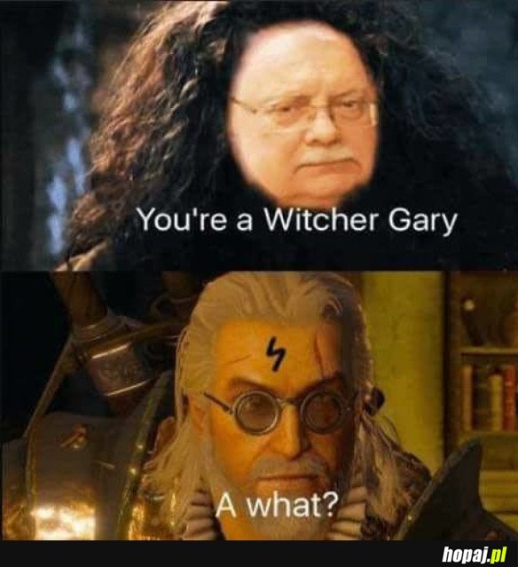 GARY POTTER