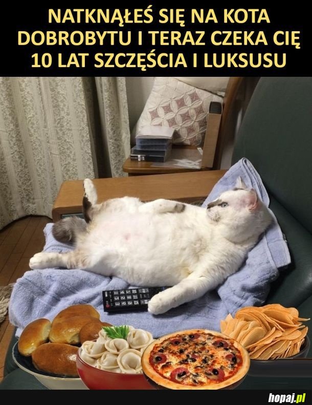 O tak To prawda potwierdzona xd