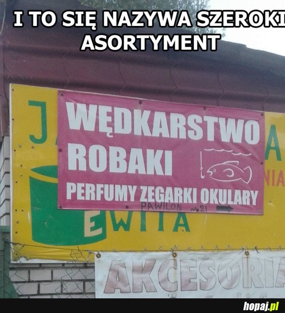 Szeroki asortyment