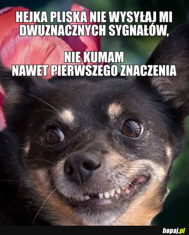 Dwuznaczne sygnały