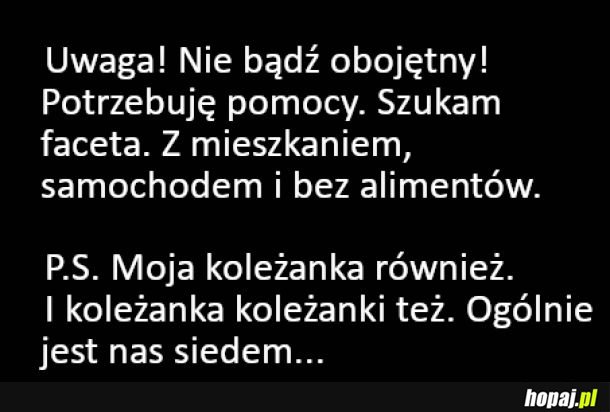 Poszukiwania