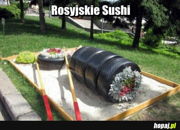 Sushi