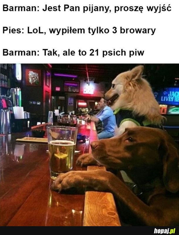 PSI PRZELICZNIK