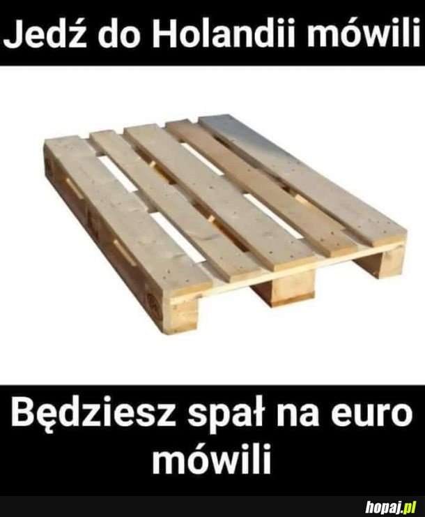 Mieli racje