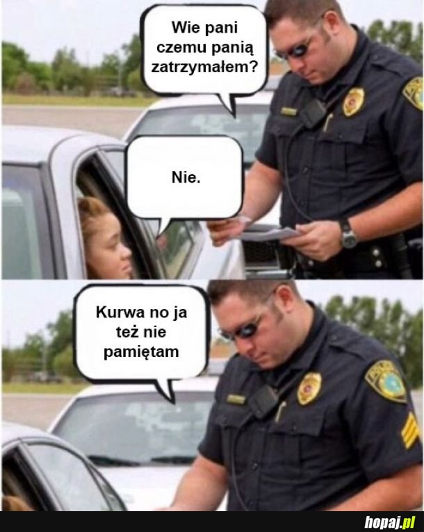 Pan Policjant 