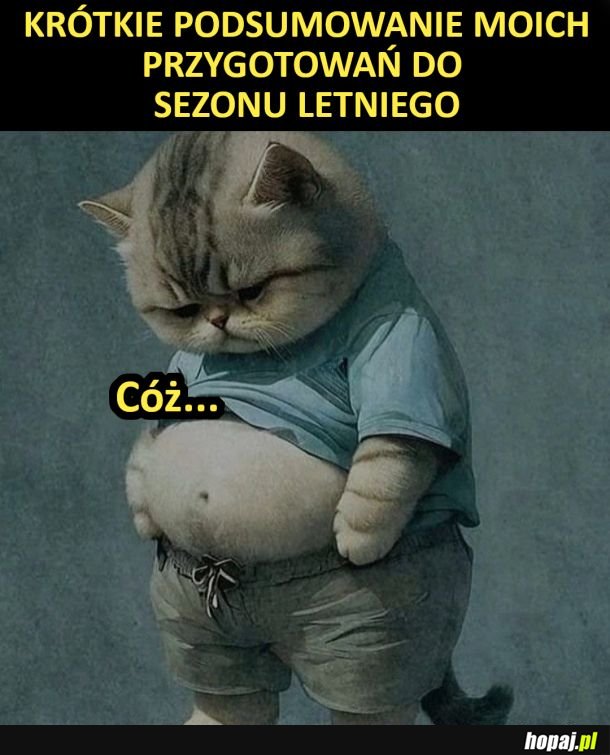 Kolejne lato z bebzolem
