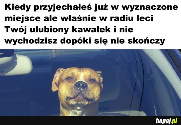 Ulubiony kawałek 