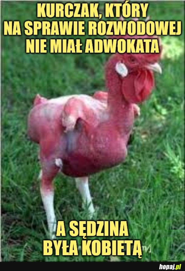 Gorzej jakby sędzina była facetem.