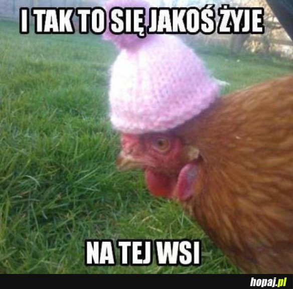 I TAK TO SIĘ JAKOŚ ŻYJE NA TEJ WSI