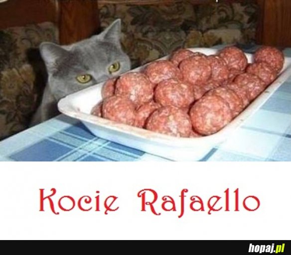 Rafaello