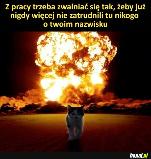 Zwolnienie z pracy