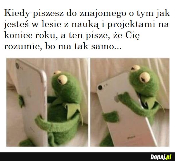 Studia be like