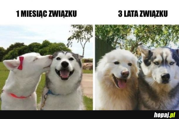 Związki takie są